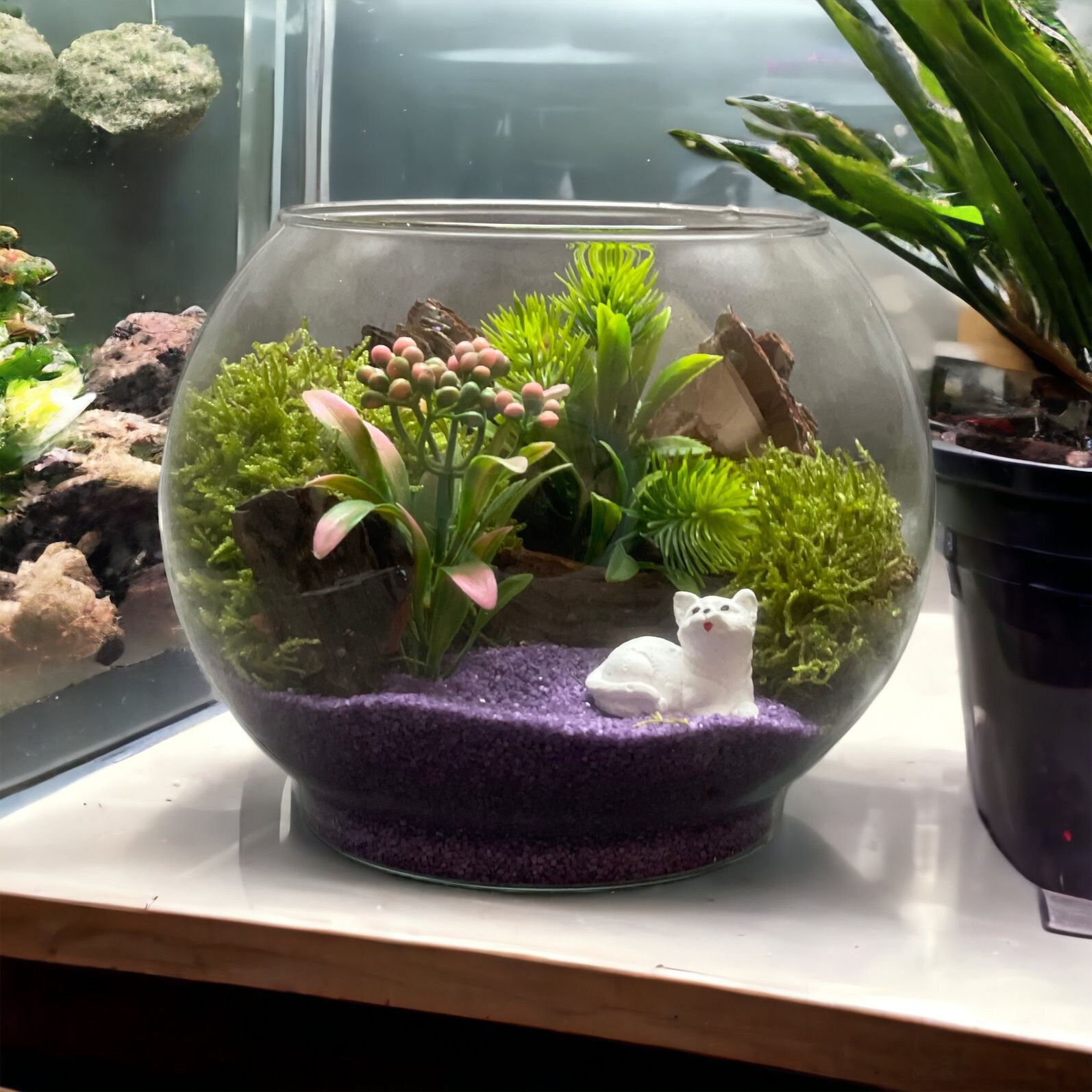 Handmade Glass Terrarium Eggshaped Terrarium Indoor Glass Etsy UK