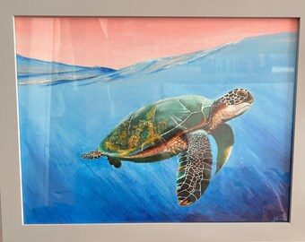 Meeresschildkröten-Box