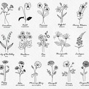 May include: A black and white line drawing illustration of flowers representing each month of the year. The flowers are labeled with their name and the month they bloom.