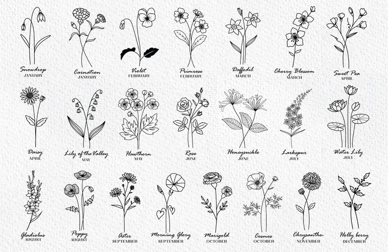 May include: A black and white line drawing illustration of flowers representing each month of the year. The flowers are labeled with their name and the month they bloom.