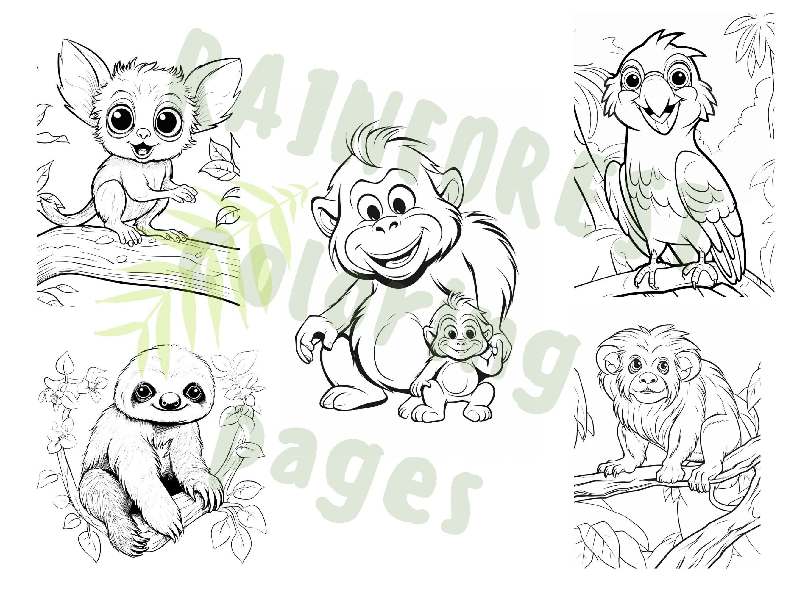 Rainforest Animals Coloring Pages - Etsy