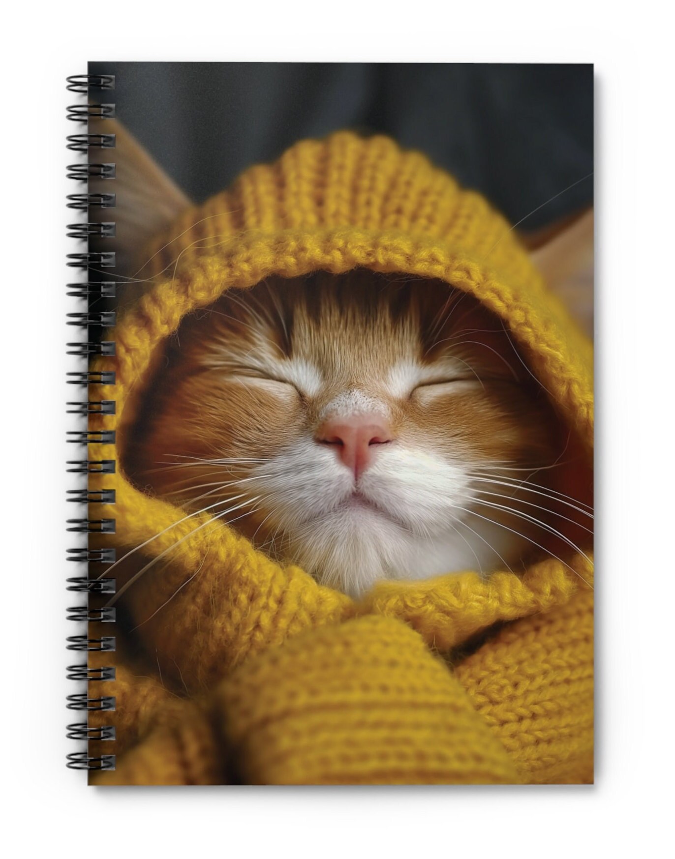Sleepy Kitten Hoodie - Etsy