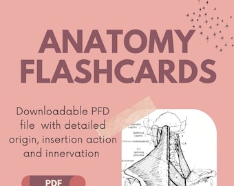 Puede incluir: Un fondo rosa con el texto "ANATOMY FLASHCARDS" en texto marrón. Debajo del texto hay un rectángulo blanco con el texto "Downloadable PDF file with detailed origin, insertion action and innervation" en texto negro. Debajo del texto hay un rectángulo rosa con el texto "PDF" en texto blanco. Debajo del rectángulo hay un rectángulo blanco con el texto "Muscle Bundle" en texto negro. Debajo del texto está el texto "TOUGH MOTHER ANATOMY" en texto negro. La imagen es una ilustración anatómica en blanco y negro de la parte posterior de un cuerpo humano con los músculos del hombro y el cuello etiquetados.