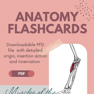 Muscles of the forearm and hand - Anatomy Flashcards (with detailed/pictured origin, insertion, action and innervation).