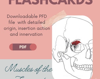 TARJETAS DE ANATOMÍA - imprimibles. Anatomía de la cara y la cabeza.