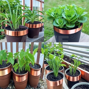 May include: Assortment of potted plants with copper-colored bands around the rims of the pots. The plants include a leafy green plant, a succulent, and a variety of herbs.