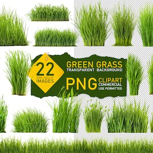Puede incluir: 22 imágenes de alta calidad de hierba verde sobre un fondo transparente. Clipart de hierba verde, uso comercial permitido. PNG.