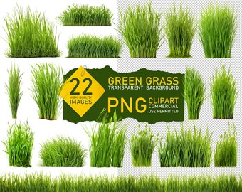 22 PNG Green Grass Clip arts, isolated on Transparent Background for Photoshop. Realistic Grass Elements