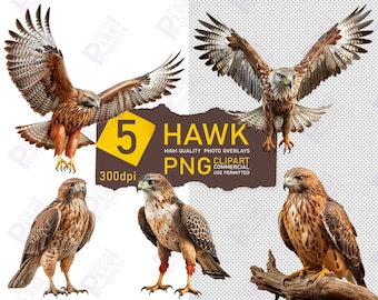 5 high-quality PNG hawk overlays for printing, scrapbooking, and design. Perfect for creative projects with transparent backgrounds