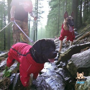 Waterproof Dog Suit Etsy UK
