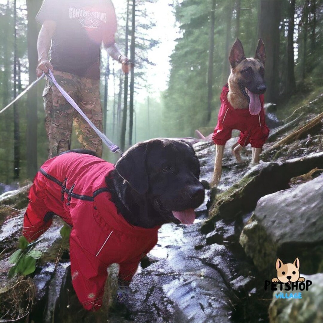 Outdoor Waterproof Dog Jacket, Reflective Raincoat for Dogs, Warm Pet