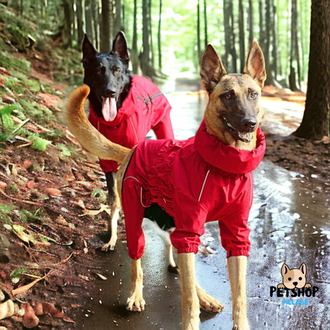 Outdoor Waterproof Dog Jacket, Reflective Raincoat for Dogs, Warm Pet