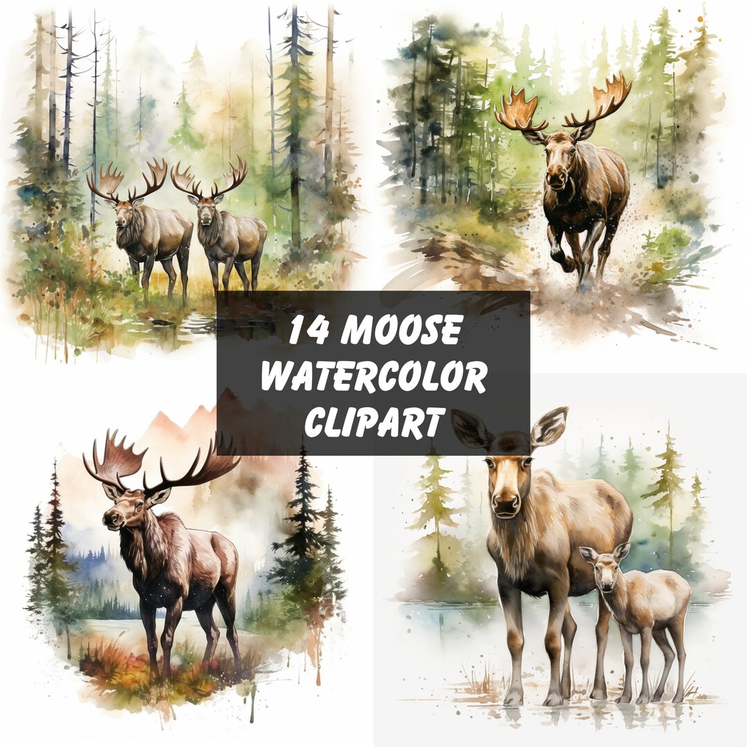 14 Moose Watercolor Illustration Cliparts Digital Download - Etsy