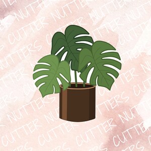 May include: A potted green monstera plant with large, split leaves in a brown pot against a pink watercolor background.
