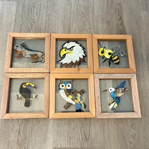 Framed Butterfly Wing Art Handmade, Handcrafted Frame, Well Preserved Butterflies Farmed in Belize, A Lovely Gift for Someone you Love