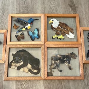 Framed Butterfly Wing Art Handmade, Handcrafted Frame, Well Preserved Butterflies Farmed in Belize, A Lovely Gift for Someone you Love