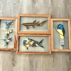 Framed Butterfly Wing Art Handmade, Handcrafted Frame, Well Preserved Butterflies Farmed in Belize, A Lovely Gift for Someone you Love