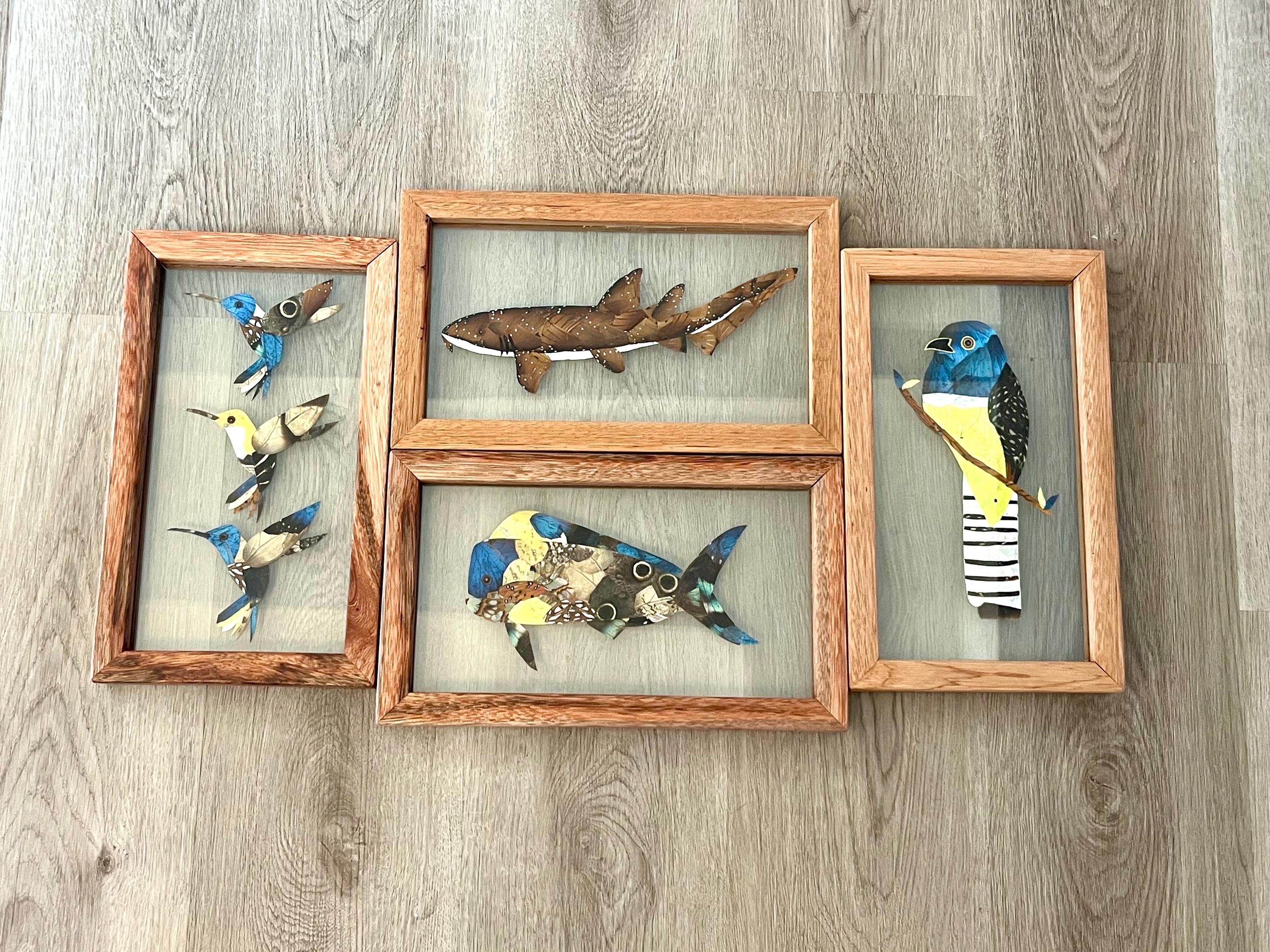 額入り蝶の羽アート：ベリーズ産の蝶、手作り額入り - Etsy 日本