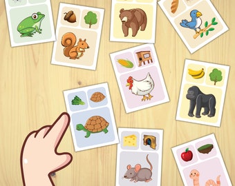 20 Animal Food Houses | Animal Flashcards | Montessori flash cards | Preschool Cards | Where does the animals eat and where does it live