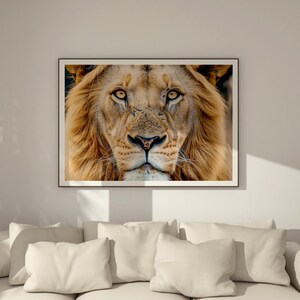 May include: Close-up portrait of a lion with a golden mane. The lion's eyes are focused on the viewer, and its expression is intense.