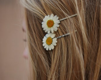 Real Daisy Hairpin: Resin Pressed Flower Hair Clip - Botanical Gift