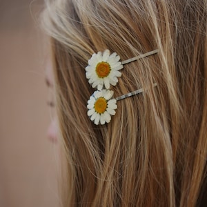 Real Daisy Hairpin: Resin Pressed Flower Hair Clip - Botanical Gift
