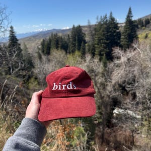Pu&ograve; includere: Un berretto da baseball in velluto a coste rosso con la parola "birds" ricamata in bianco sul davanti.