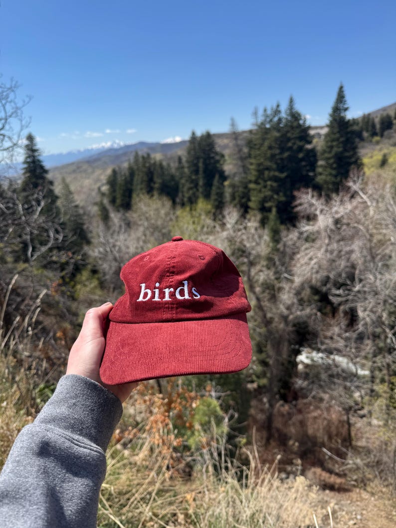 Pu&ograve; includere: Un berretto da baseball in velluto a coste rosso con la parola "birds" ricamata in bianco sul davanti.