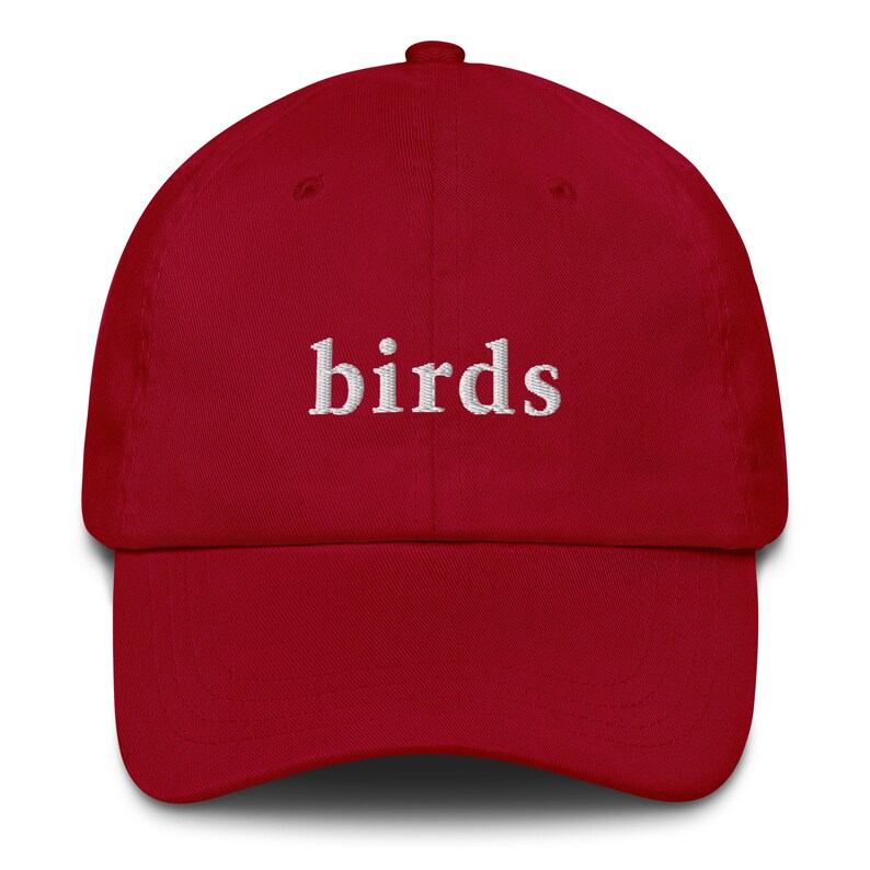 Birds - Embroidered Dad Hat - Minimalist Hat for Bird Watchers and Lovers