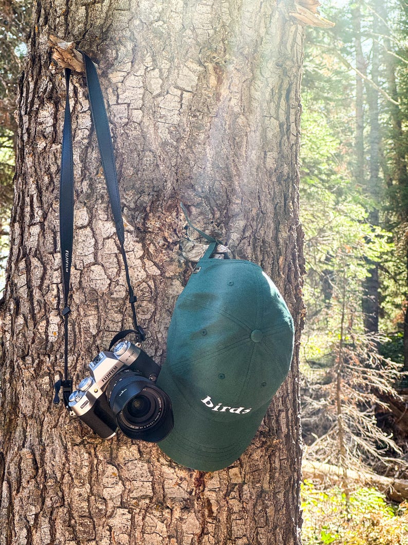 Birds - Embroidered Dad Hat - Minimalist Hiking Outdoorsman Hat for Bird Watchers and Lovers image 2