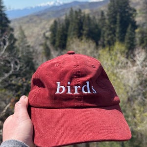 Pu&ograve; includere: Un berretto da baseball in velluto a coste rosso con la parola "birds" ricamata in bianco sul davanti.