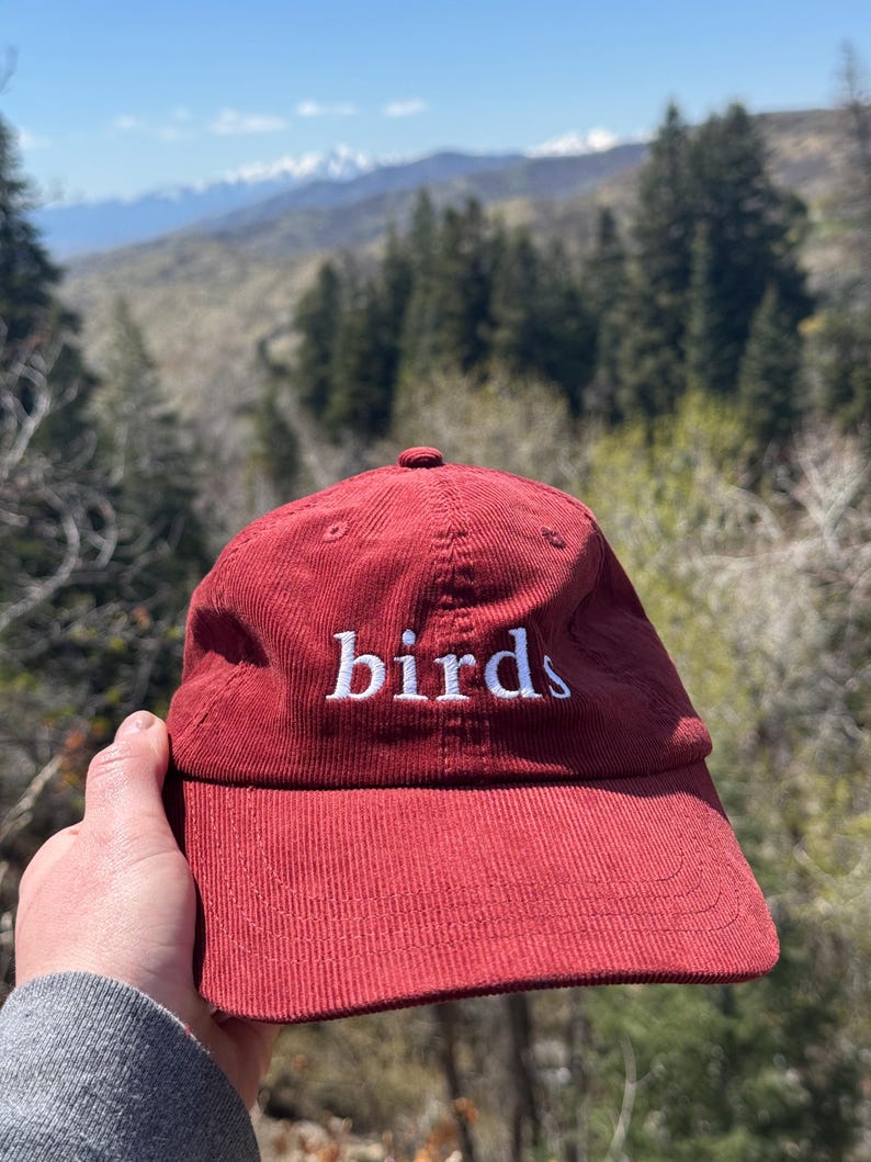 Pu&ograve; includere: Un berretto da baseball in velluto a coste rosso con la parola "birds" ricamata in bianco sul davanti.