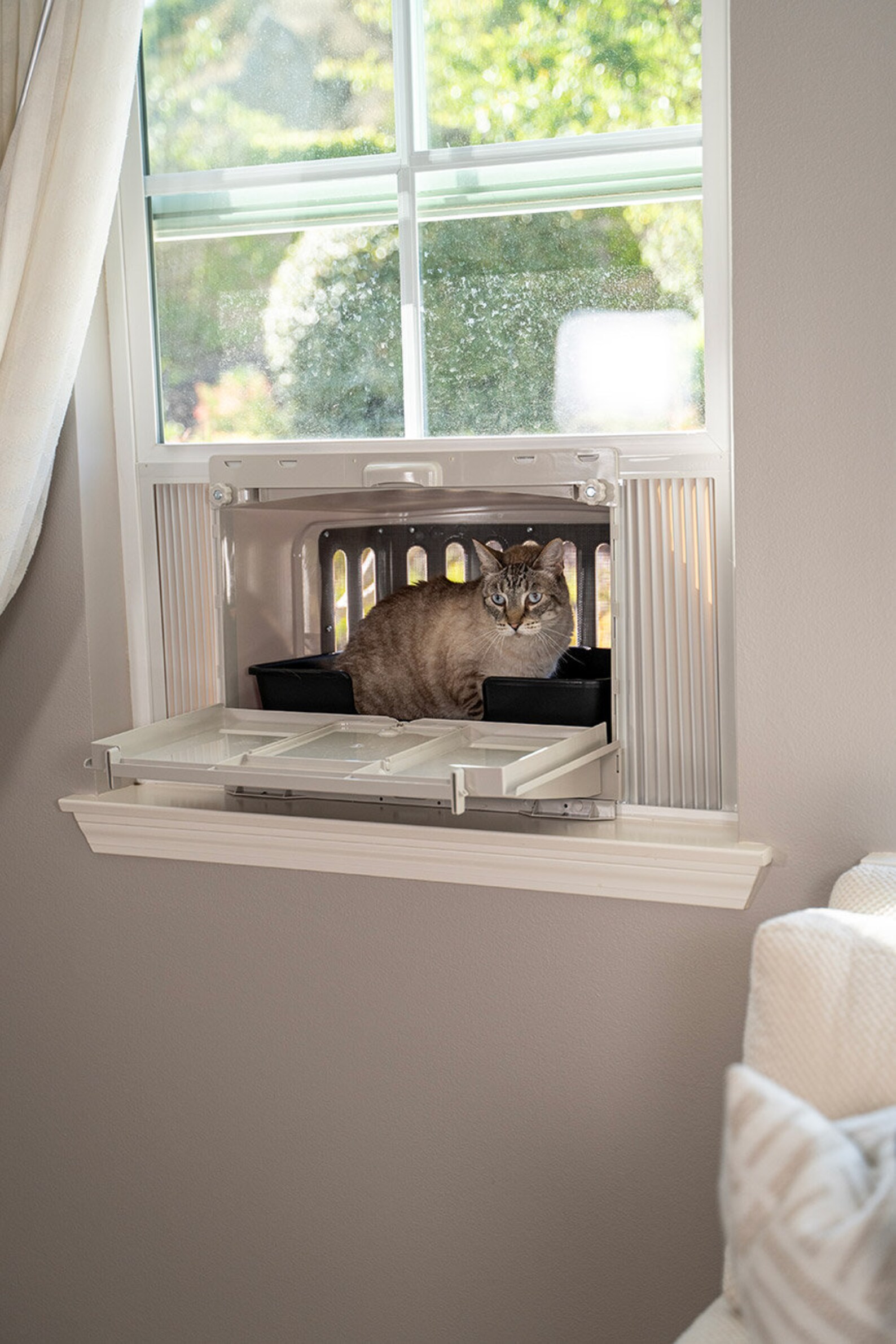 Vistaloo Window Litter Box Etsy