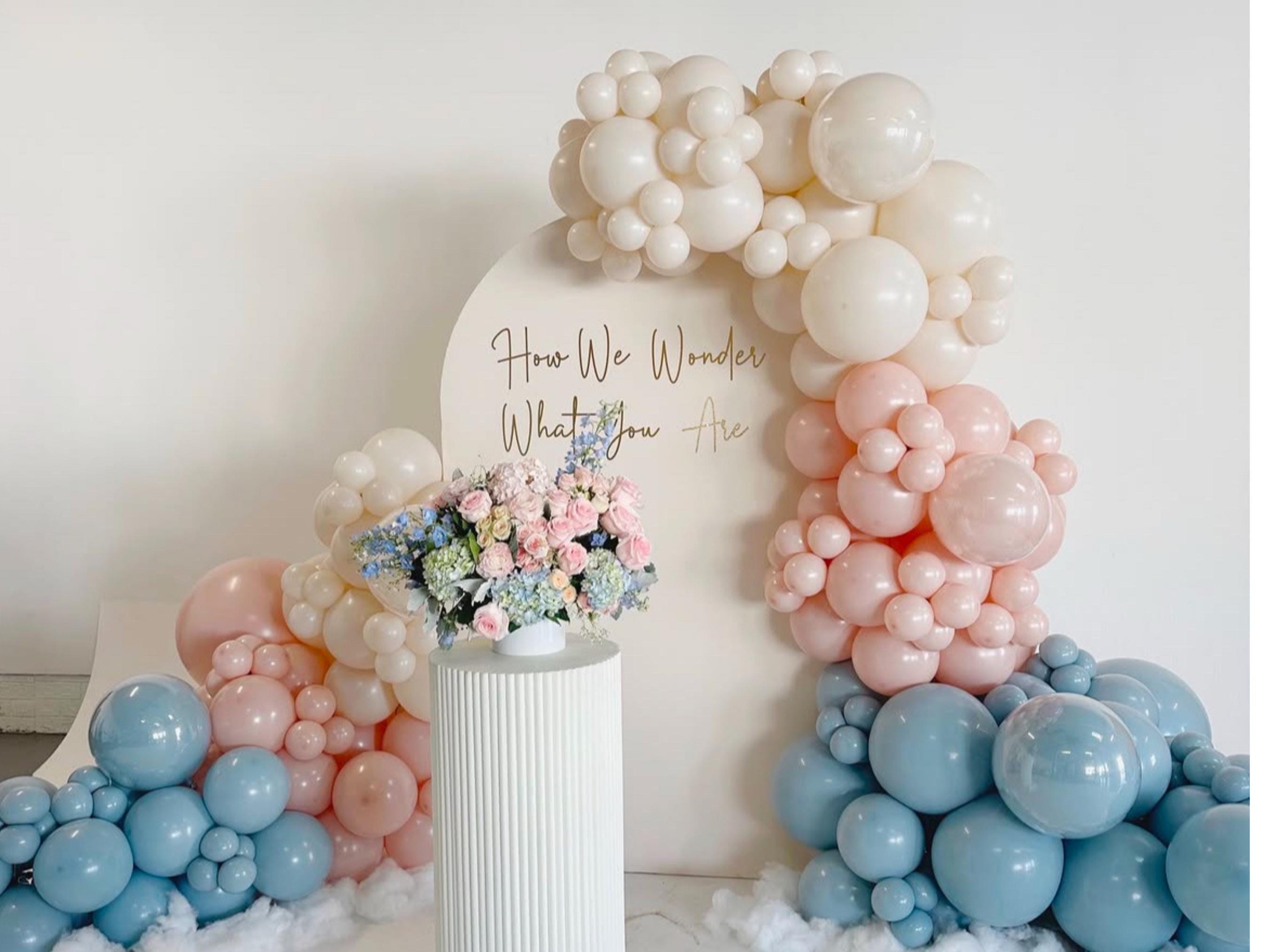 Gender Reveal  Balloon Arch  Garland Kit, How We Wonder What You Are Baby Girl, Baby Boy Shower Decorations, Balloom Arch Kit Muted Colors