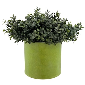 May include: A green potted artificial plant with small, dark green leaves. The plant is in a green ceramic pot.