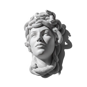 Könnte beinhalten: Eine weiße Skulptur des Medusenhauptes, mit detaillierten Schlangen anstelle von Haaren. Die Skulptur steht vor einem weißen Hintergrund, wobei Schatten die klassische Kunstform hervorheben.