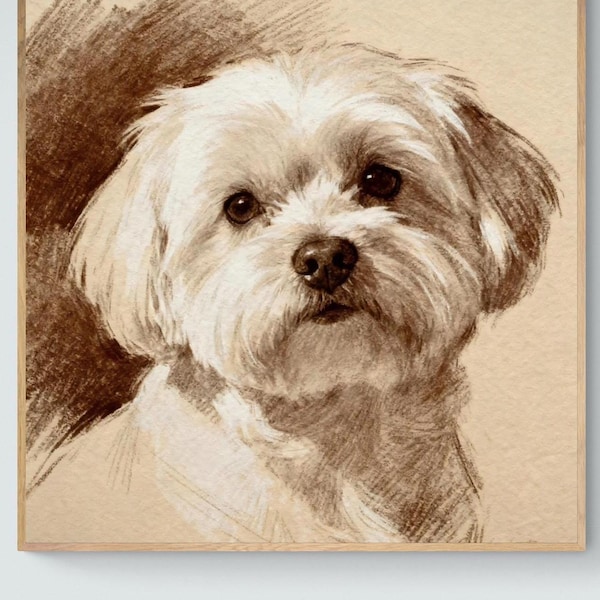 Maltese Dog Art Print – Charcoal Drawing Portrait, Framed or Canvas Wall Decor