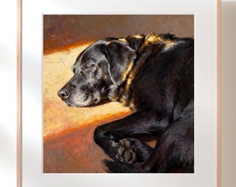Senior Black Labrador Dog Painting, Oil Pastel Art Print on Canvas or Paper