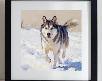 Alaskan Husky Art Print, Snow Dog Painting on Fine Art Paper