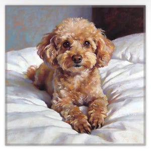 May include: A detailed painting of a small, brown poodle lying on a white pillow. The dog has curly fur and is looking directly at the viewer. The background is a soft blue and brown.