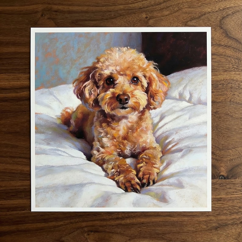 May include: A print of a small, brown poodle lying on a white, textured surface. The dog has curly fur and dark eyes, with a soft, inviting expression. The background is a blend of blue and brown.