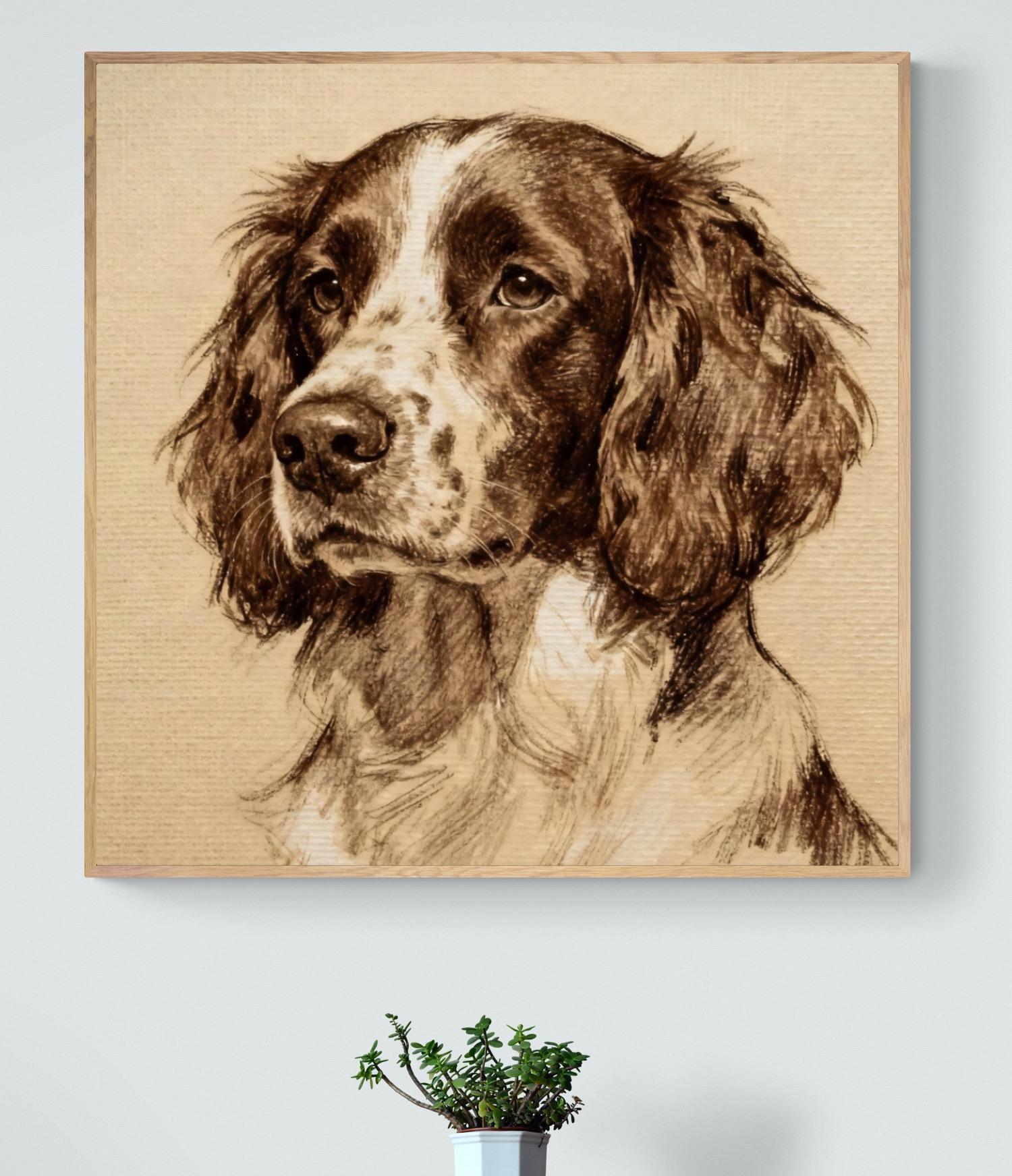 Springer Spaniel Art Print – Fine Art Charcoal Drawing - Etsy