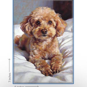 May include: A framed print of a brown poodle lying on a white surface. The artwork is 5 inches wide and 7 inches tall. The dog has curly fur and is looking directly at the viewer. The background is a soft, blurred depiction of a room.