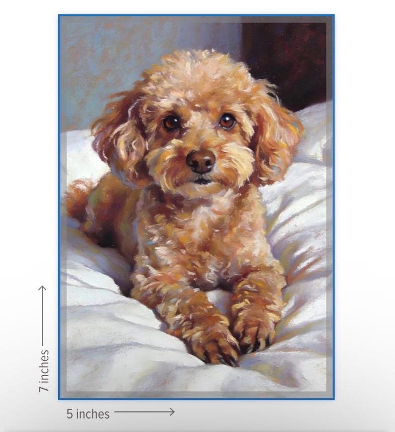 May include: A framed print of a brown poodle lying on a white surface. The artwork is 5 inches wide and 7 inches tall. The dog has curly fur and is looking directly at the viewer. The background is a soft, blurred depiction of a room.