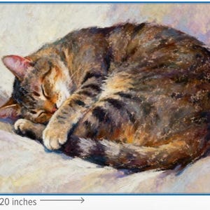 May include: An oil painting of a brown and black tabby cat curled up in a sleeping position. The artwork features visible brushstrokes and measures 16 inches by 20 inches as indicated by the measurement lines on the left and bottom edges.