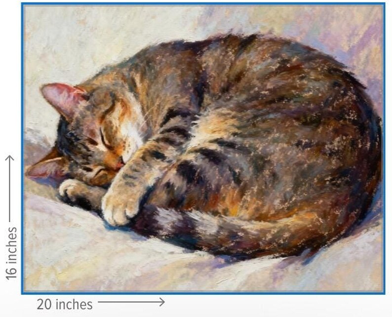 May include: An oil painting of a brown and black tabby cat curled up in a sleeping position. The artwork features visible brushstrokes and measures 16 inches by 20 inches as indicated by the measurement lines on the left and bottom edges.