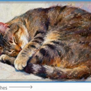 May include: An oil painting of a sleeping tabby cat curled into a ball, featuring brown, black, and tan fur tones. The artwork measures 4 inches by 6 inches as indicated by the visible measurement lines on the left and bottom edges of the print.