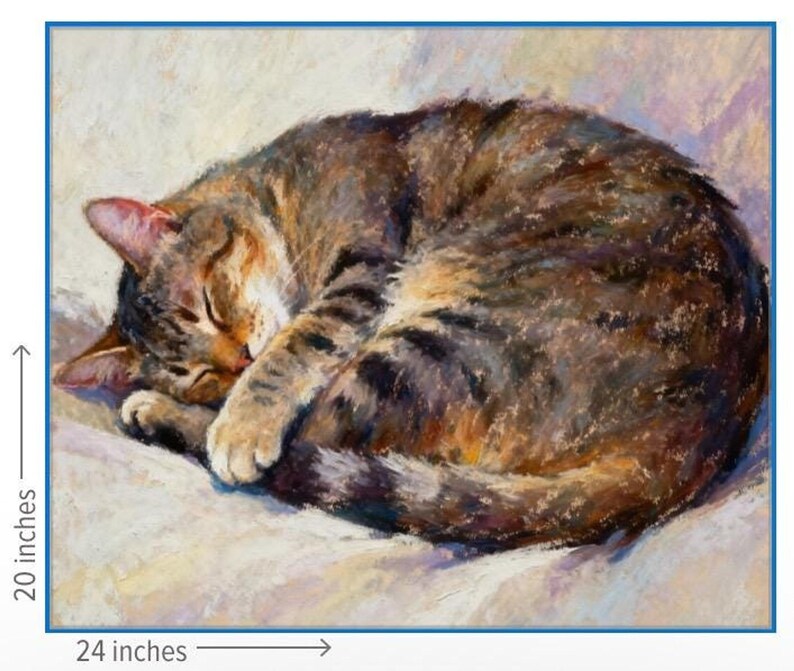 May include: An oil painting of a brown and black tabby cat curled up while sleeping. The cat has closed eyes and is resting on a light-colored surface. The artwork measures 20 inches in height and 24 inches in width as indicated by the labels.