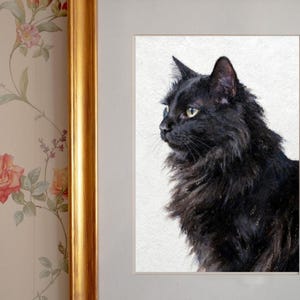 Black Cat Art Print, Framed or Canvas Wall Art (USA Artist)