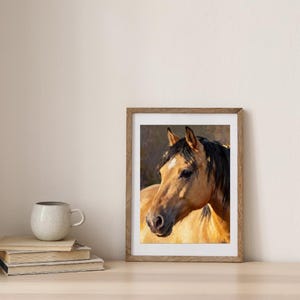 May include: A framed oil painting of a buckskin horse with a black mane and a white star on its forehead. The horse is depicted in profile, facing left, with warm golden-brown tones and soft lighting against a dark, muted background.